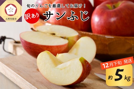 [2025年12月下旬発送] [訳あり] りんご 約5kg サンふじ 青森りんご