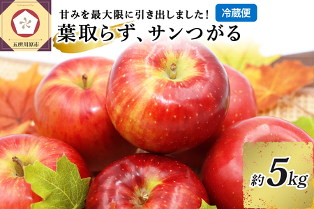 9月 りんご 5kg 葉とらず サンつがる 青森 [2025年 リンゴ 林檎 果物 クール便]