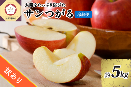 訳あり りんご 5kg  9月 サンつがる  青森【2025年 リンゴ 林檎 果物 クール便】 