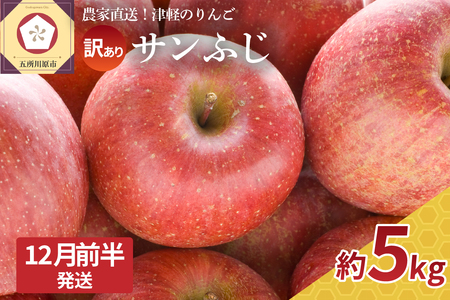 りんご 訳あり 5kg 青森 [2024年12月前半発送] サンふじ [先行予約 2024年 12月 発送開始]