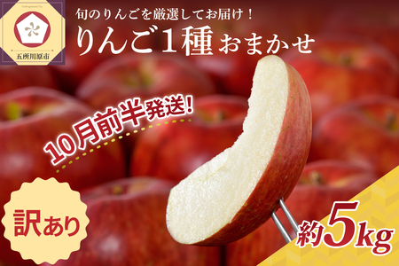 [2025年10月前半発送] りんご[訳あり]約5kg 品種おまかせ1種 | 青森県産りんご 家庭用りんご