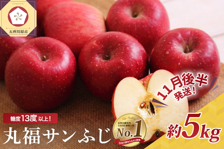 [2025年11月後半発送] りんご 青森産 約5kg 丸福 サンふじ 光センサー 選果 糖度 13度以上