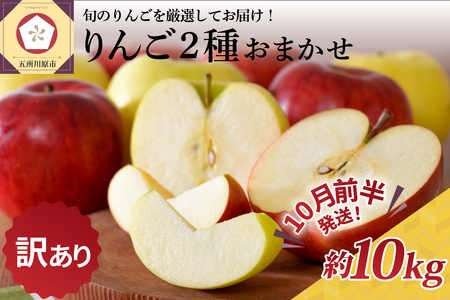 [2025年10月前半発送] りんご[訳あり]約10kg 品種おまかせ2種以上 | 青森県産りんご 家庭用りんご