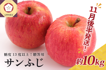 [2025年11月後半発送] りんご 約10kg サンふじ 青森産 糖度 13度以上 贈答用 特選〜特秀