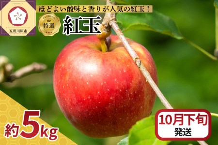 [2025年10月下旬発送] [特選]りんご 5kg 紅玉 青森