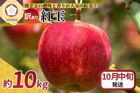 y2025N10{zy󂠂z  10kg g AbvpC ɍœK X s