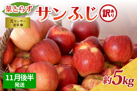 りんご 葉とらずサンふじ約5kg[2025年11月後半発送/訳あり]青森県産りんご 青森りんご 赤いりんごふじりんごサンふじりんご青森のりんご訳ありりんごワケアリりんご訳アリりんご