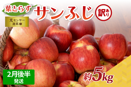 青森りんご　【2025年2月後半発送】【訳あり】葉とらずサンふじりんご約5kg青森県産 青森りんご 赤いりんごふじりんごサンふじりんご青森のりんご訳ありりんごワケアリりんご訳アリりんご