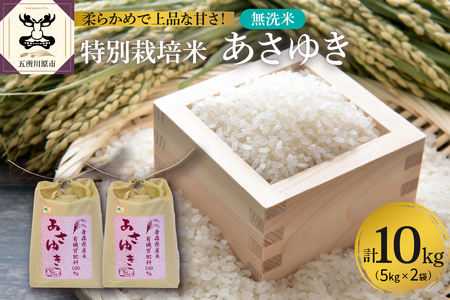 米 無洗米 令和5年産 特別栽培米 10kg (5kg×2) あさゆき 青森 五所川原 お米 白米