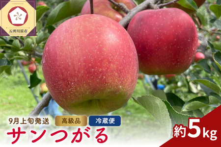 [2025年9月上旬発送]りんご サンつがる 約5kg 高級品 春秋園 青森[贈答用 リンゴ 林檎 サンツガル 早生りんご]