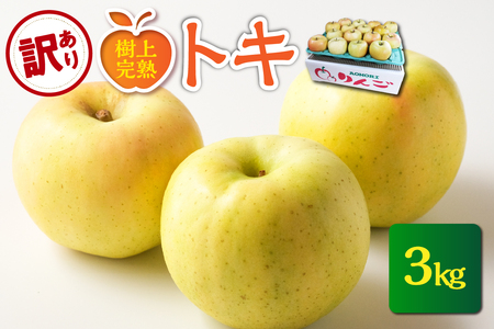 [2025年10月発送][訳あり] りんご 約3kg トキ[樹上完熟] 青森産