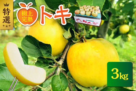 [2025年10月発送][特選] りんご 約3kg トキ[樹上完熟] 青森産