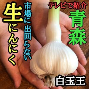 青森生にんにく10玉★年に1度、収穫時期しか食べられない逸品です★【配送不可地域：離島】【1619307】