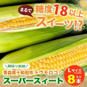 yx18ȏzX[p[XB[g@\acsYgERV@LTCY8{(1{400gNX)yzsnFEꌧEBzy1612539z