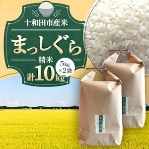 �y�ߘa7�N�Y�z�\�a�c�s�Y�āu�܂�������v���� 10kg(5kg2��)�y�z���s�n��F�����z�y1694679�z