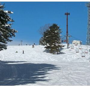 子供 リフト券半日券(引換券)