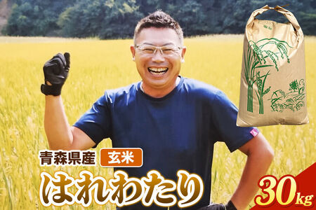 玄米 青森県産 はれわたり 令和7年産 30kg (30kg×1袋）十和田市産