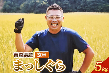 玄米 青森県産 まっしぐら 令和7年産 5kg (5kg×1袋）十和田市産