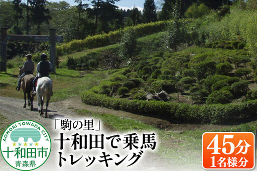 「駒の里」十和田で乗馬トレッキング45分(1名様分) レターパックプラス 青森県十和田市