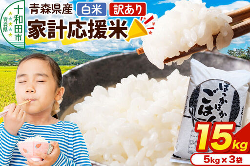 【訳あり】家計応援米 5kg×3袋（合計15kg）青森県産 精米