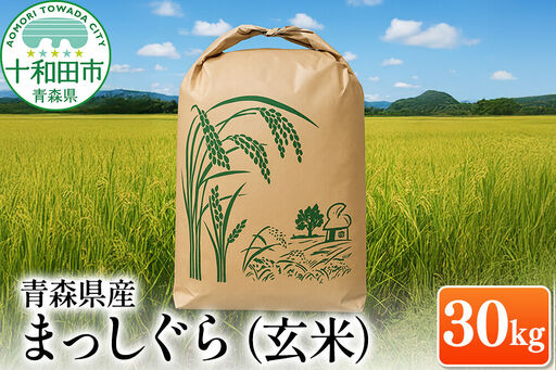 玄米 青森県産まっしぐら 30kg×1袋 令和7年産
