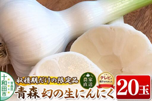 先行受付【テレビ紹介】青森 幻の生にんにく20玉（農家直送・収穫期だけの限定品） 青森にんにくファーム