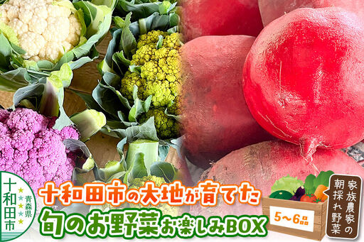 十和田の大地が育てた旬のお野菜お楽しみBOX 家族農家の朝採れ野菜