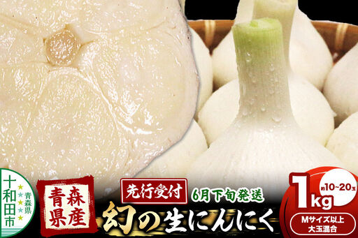 先行受付 青森県産にんにく 幻の生にんにく 1kg 約10〜20玉(Mサイズ以上大玉混合)[6月下旬発送]