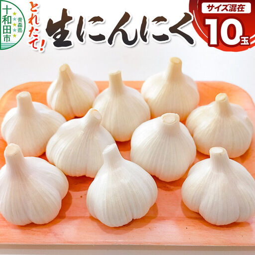 採れたて 生にんにく 10玉 青森県十和田市産