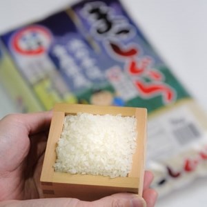 yߘa7NYzXY܂@10kgyzsnFzy1123675z