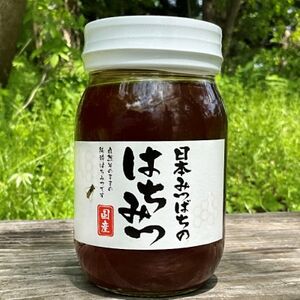 [青森県十和田市産]日本みつばち蜂蜜550g[配送不可地域:離島]