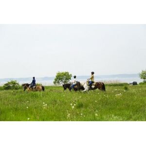 XOs@ngbLO(쌴΃gC)1l120y1681399z