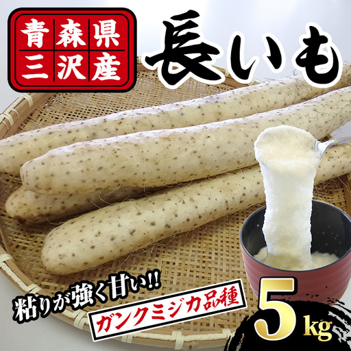 ＜先行予約受付中！R8年8月下旬以降順次発送予定＞青森県三沢市産 長いも (5kg) 野菜 やさい 根菜 とろろ 長芋 芋 いも 【おいらせ農業協同組合】【ms25-02】