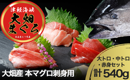 産地直送! 津軽海峡 大畑産 厳選本マグロ刺身用サク(大トロ・中トロ・赤身)食べ比べセット