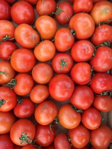 ނsY@Е؉́uTXeiug}gv󂠂4kg