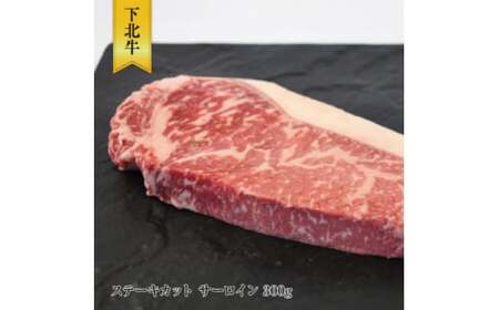 下北牛 サーロイン ステーキ 約300g