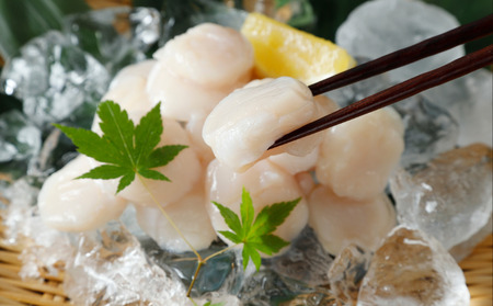 pYقĊL@ʗ500g@hgp@TCYs@󂠂