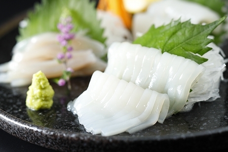 XYXCJhg240gi120g×2P)@XY ނs hg