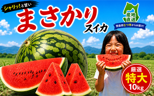 [期間限定]スイカ1玉特大10kg