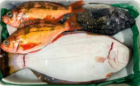 [1月発送開始]おさかなマイスター厳選 冬の魚介類BOX (S)