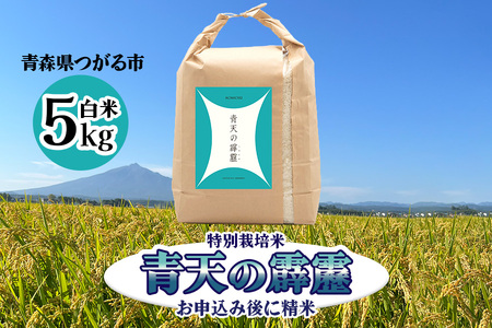 青天の霹靂 (特別栽培米) 白米5kg 令和6年産 青森県産米 [お申込み後に精米]|2024年産 新米 つがる市 お米 米 こめ へきれき 白米 精米 特栽米 ブランド米 [0759]