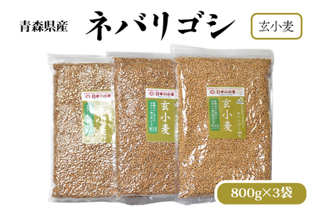 国産小麦 栽培期間中 農薬不散布 玄小麦 青森県産 ネバリゴシ 中力系 800g×3 製麺 や パン作りにおすすめ|小麦 小麦粉 国産小麦粉 小麦粉セット パン用 パン 全粒粉 全粒小麦 [0572]