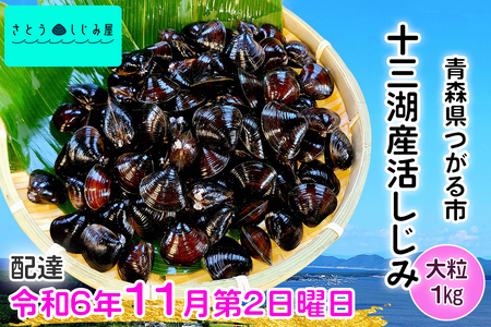 [令和6年11月第2日曜日配達] さとうしじみ屋の十三湖産活しじみ(大粒1kg)[冷蔵]|十三湖産 青森 津軽 つがる しじみ みそ汁 味噌汁 しじみ汁 活しじみ 冷蔵 [0597]