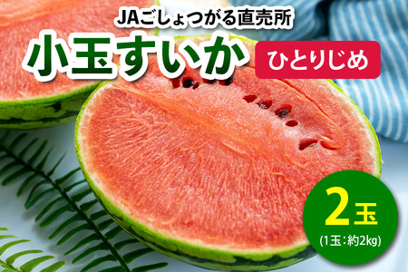 小玉すいか (ひとりじめ) 2玉入|2025年産 令和7年 小玉 スイカ すいか 西瓜 果物 フルーツ 旬 産直 特産品 数量限定 [0842]