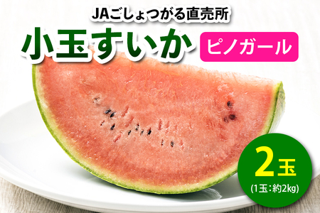 小玉すいか (ピノガール) 2玉入|2025年 令和7年 小玉 スイカ すいか 西瓜 果物 フルーツ 旬 産直 特産品 数量限定 [0643]