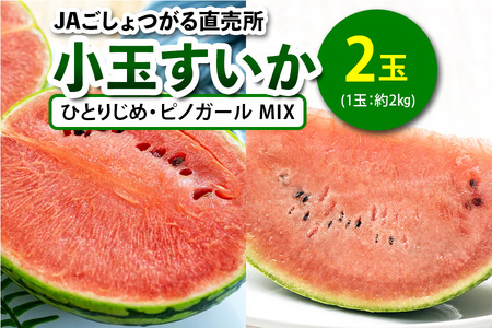 小玉すいか (ひとりじめ・ピノガール MIX) 2玉入|2025年産 令和7年 小玉 スイカ すいか 西瓜 果物 フルーツ 旬 産直 特産品 食べ比べ 数量限定 [0843]