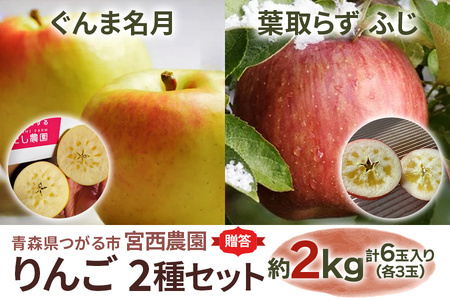 [贈答用] ぐんま名月×葉取らずふじ[約2kg 各3玉入り 計6玉]贅沢りんご 2種セット|青森産 津軽 つがる りんご リンゴ 果物 フルーツ [0681]