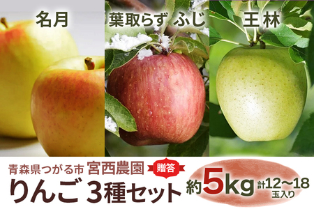 [贈答] 名月×葉取らずふじ×王林【約5kg 計12から18玉】贅沢りんご 3種セット｜令和7年 2025年 ギフト 青森産 津軽 つがる りんご リンゴ 果物 フルーツ めいげつ フジ おうりん [0687]
