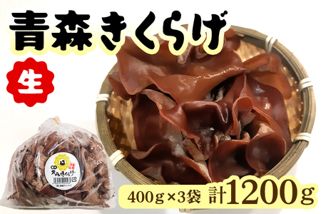 青森きくらげ(生)400g×3袋入り|青森 つがる産 キクラゲ 具材 食物繊維 生きくらげ きくらげ 料理 [0691]