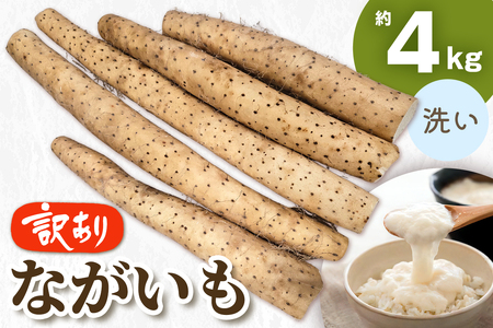 訳あり ながいも 約4kg (洗い)|長いも 長芋 ナガイモ 山芋 ヤマイモ やまいも 訳アリ とろろ 滋養強壮 青森産 [0788]